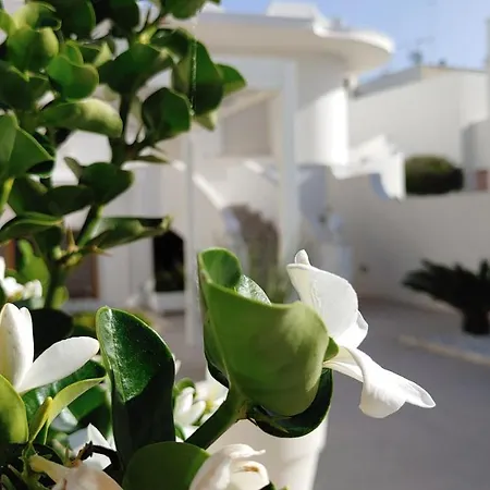 Casa Mirella *